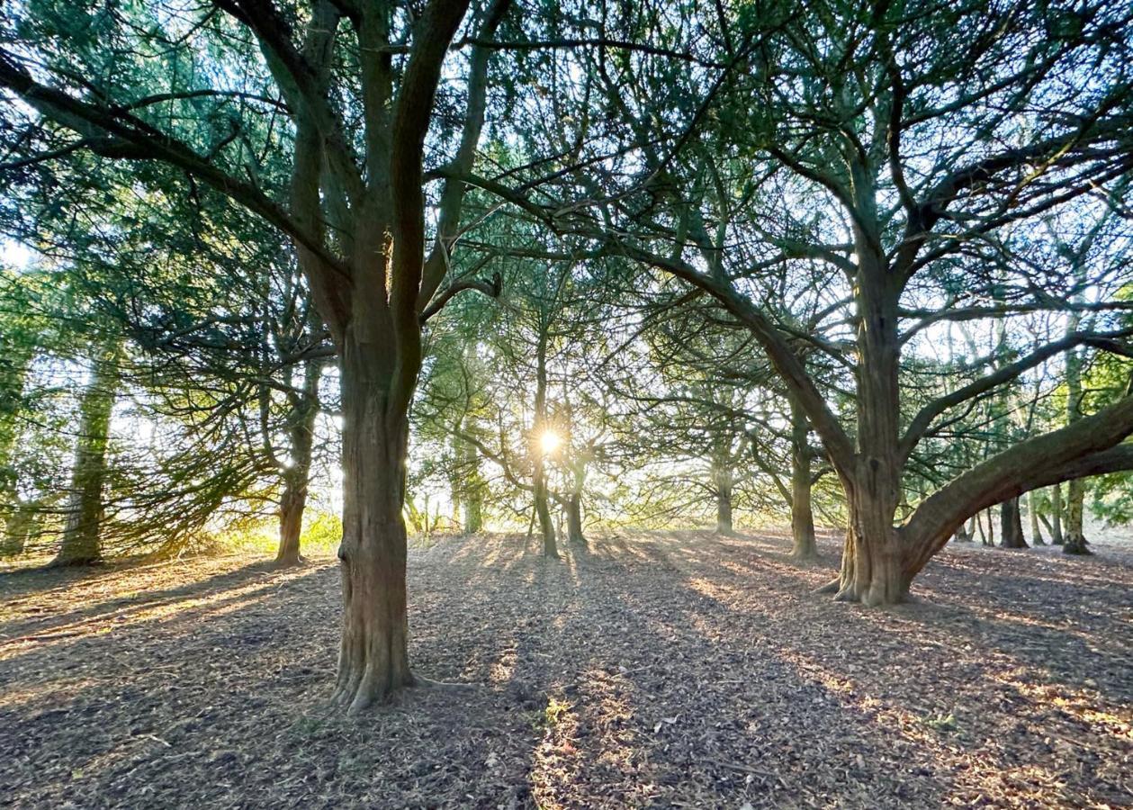 Отель Sherwood Castle Holiday Forest Эдвинстоу Экстерьер фото